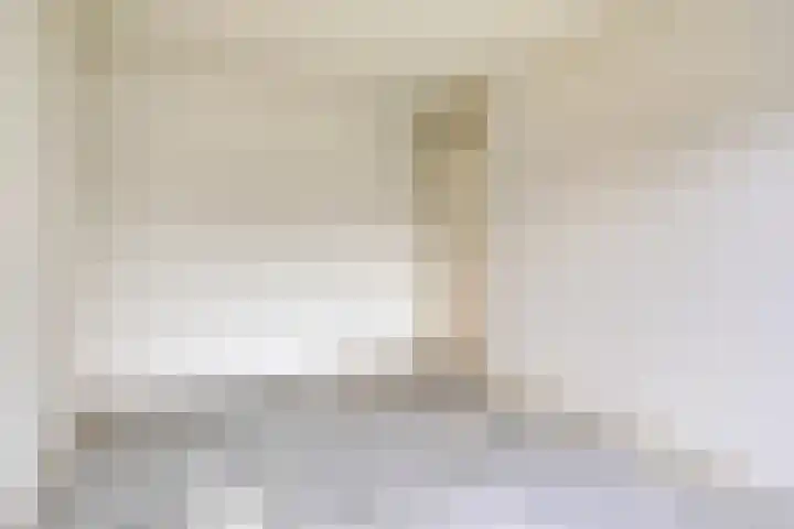 Eendenkooi 18 Delfzijl thumbnail 16