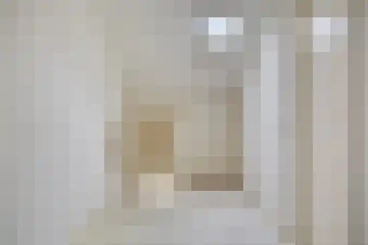 Eendenkooi 18 Delfzijl thumbnail 17