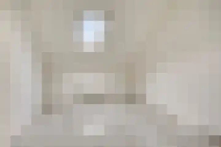 Eendenkooi 18 Delfzijl thumbnail 19