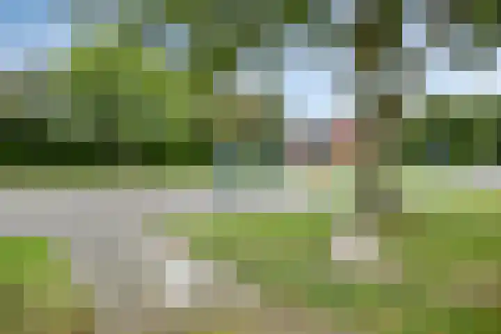Eendenkooi 18 Delfzijl thumbnail 25