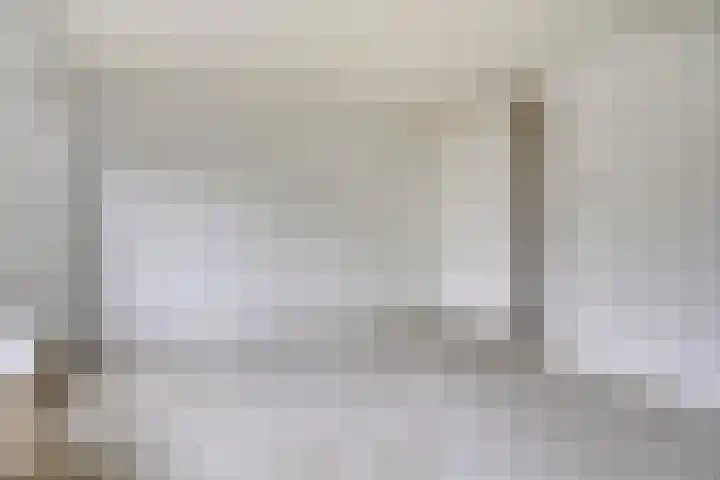 Eendenkooi 18 Delfzijl thumbnail 4