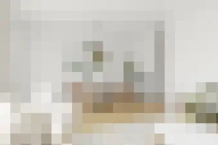 Eendenkooi 18 Delfzijl thumbnail 5