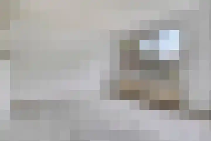 Eendenkooi 18 Delfzijl thumbnail 6