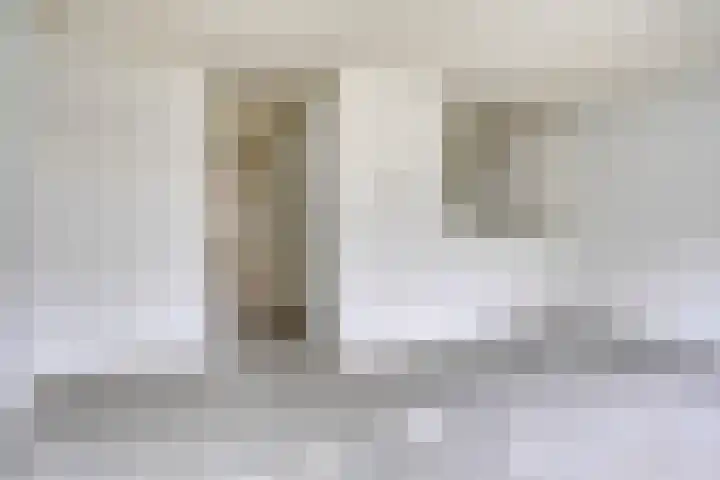Eendenkooi 18 Delfzijl thumbnail 7