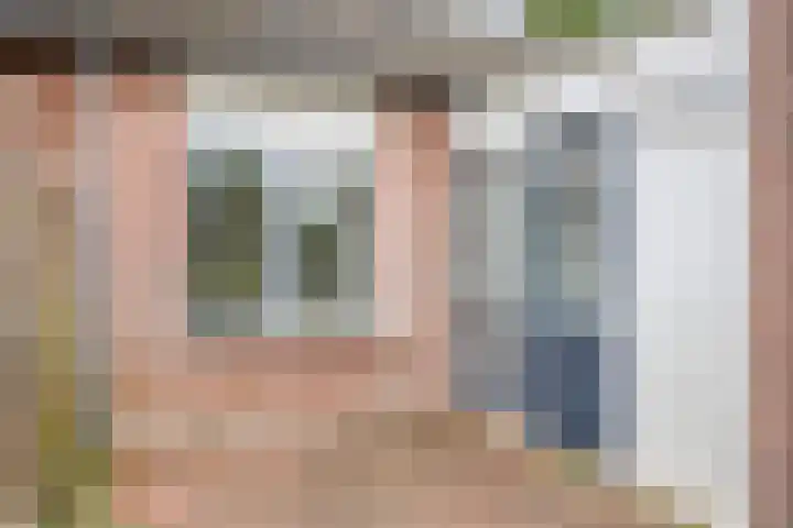 Eendenkooi 18 Delfzijl thumbnail 8
