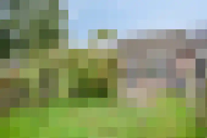Eendenkooi 18 Delfzijl thumbnail 9