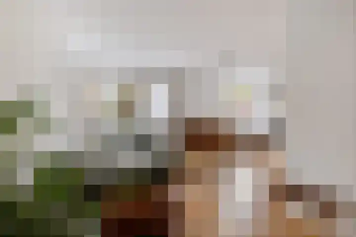 Eendenkooi 28 Heerenveen thumbnail 11