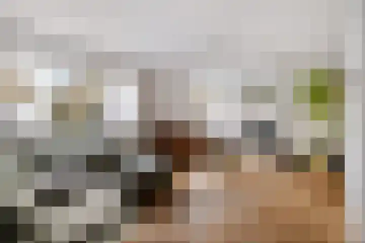 Eendenkooi 28 Heerenveen thumbnail 12