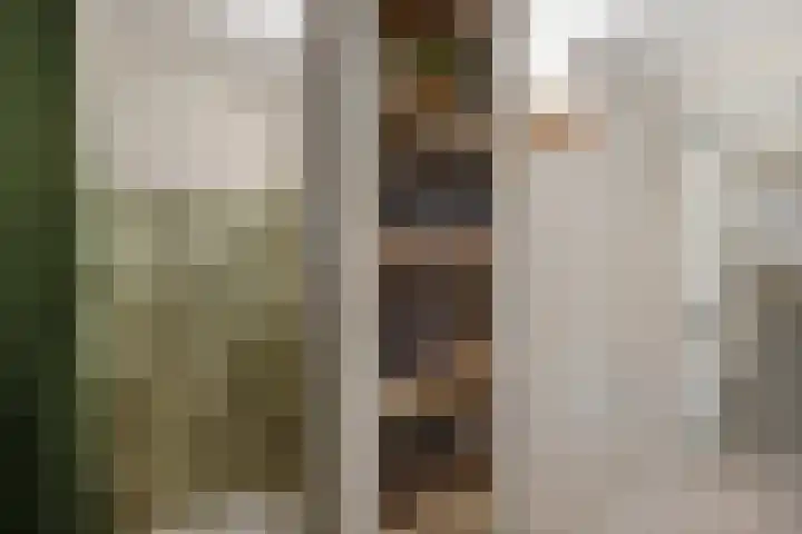 Eendenkooi 28 Heerenveen thumbnail 18
