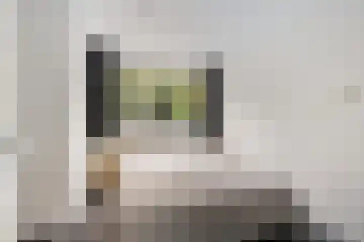 Eendenkooi 28 Heerenveen thumbnail 20