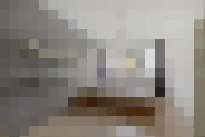 Eendenkooi 28 Heerenveen thumbnail 22