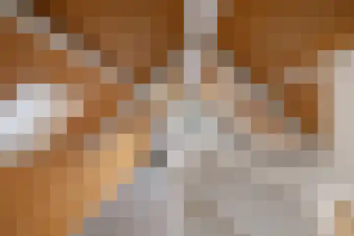 Eendenkooi 28 Heerenveen thumbnail 25
