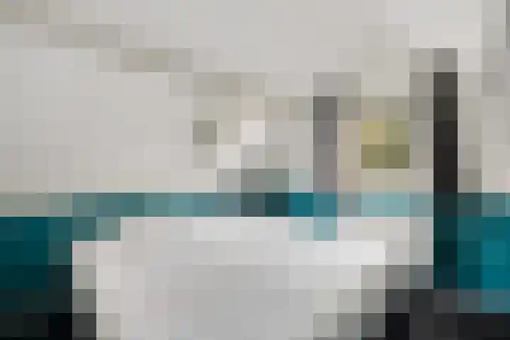 Eendenkooi 28 Heerenveen thumbnail 27