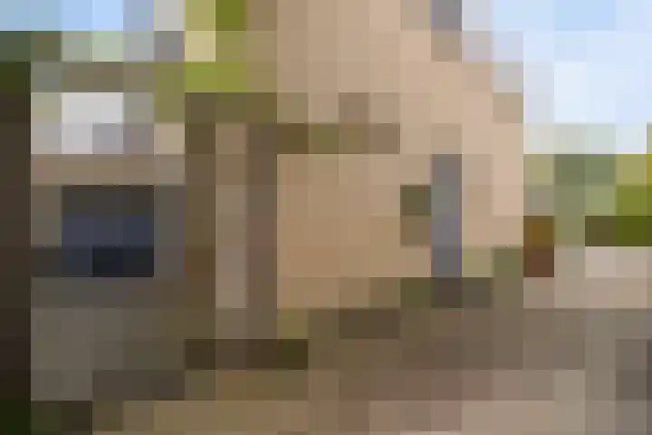 Eendenkooi 28 Heerenveen thumbnail 29