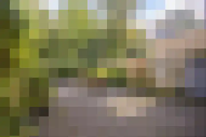 Eendenkooi 28 Heerenveen thumbnail 31