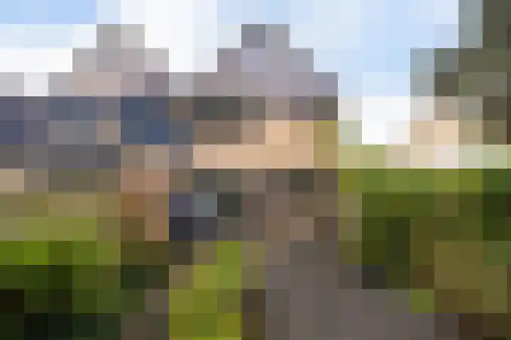 Eendenkooi 28 Heerenveen thumbnail 32