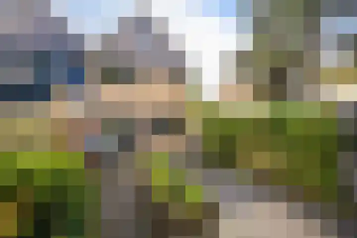 Eendenkooi 28 Heerenveen thumbnail 33