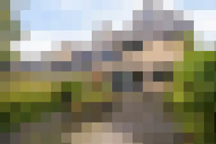 Eendenkooi 28 Heerenveen thumbnail 34
