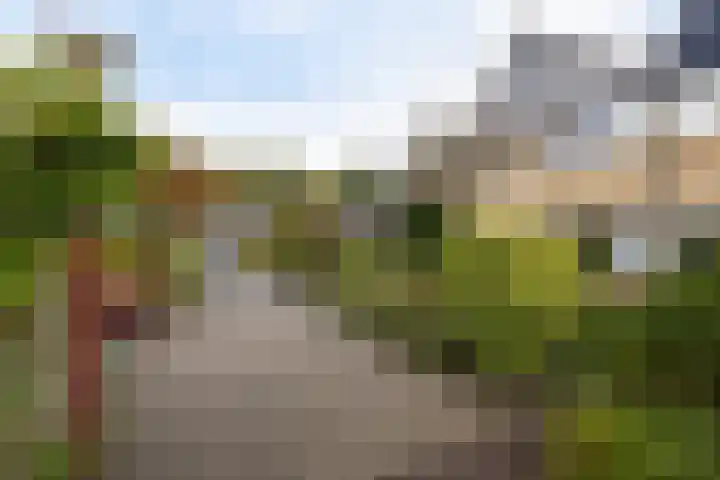 Eendenkooi 28 Heerenveen thumbnail 35