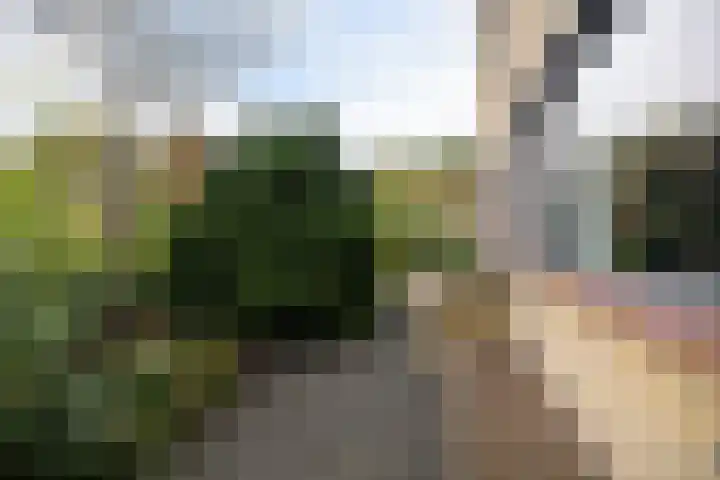 Eendenkooi 28 Heerenveen thumbnail 36