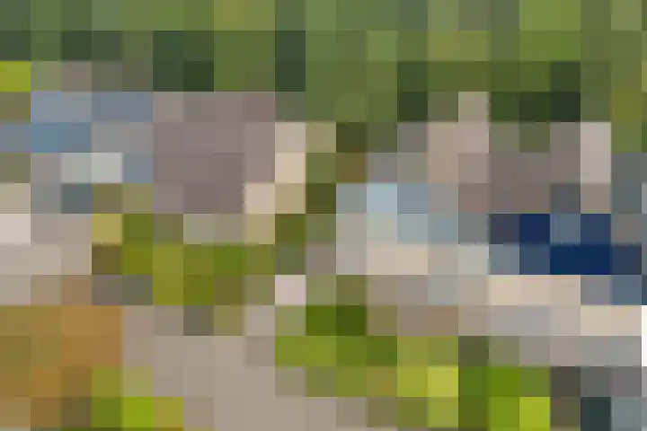 Eendenkooi 28 Heerenveen thumbnail 37