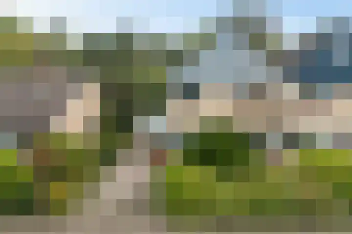 Eendenkooi 28 Heerenveen thumbnail 38