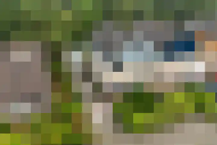 Eendenkooi 28 Heerenveen thumbnail 39