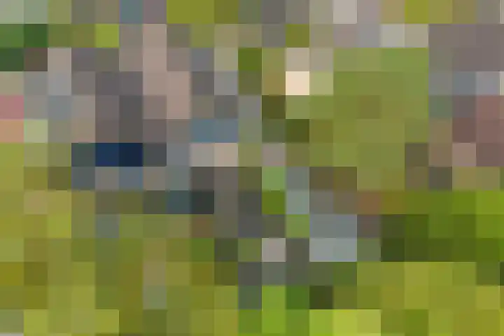 Eendenkooi 28 Heerenveen thumbnail 41