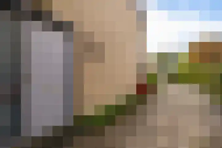 Eendenkooi 28 Heerenveen thumbnail 5