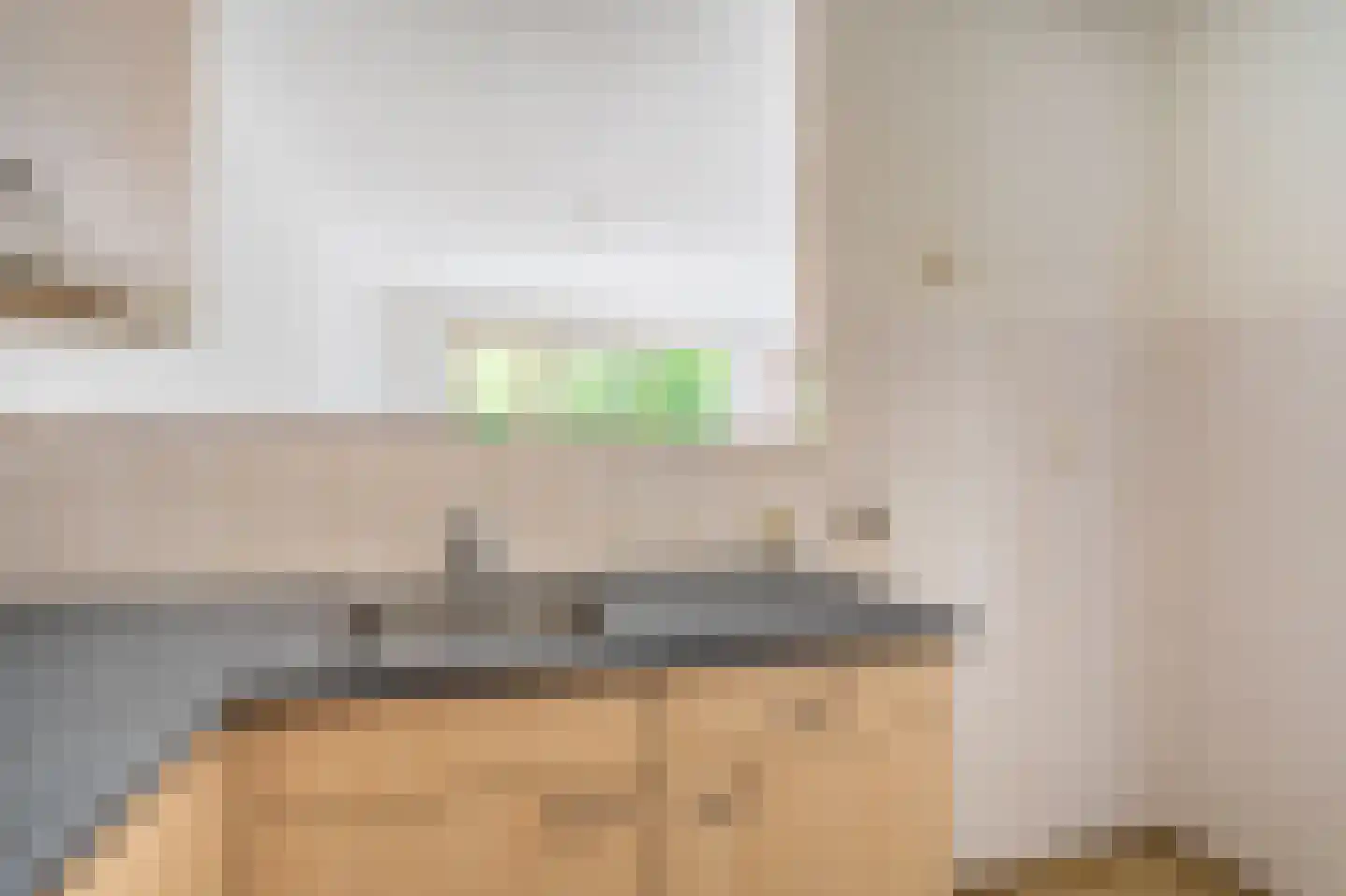 Eendenkooi 3 Delfzijl thumbnail 10