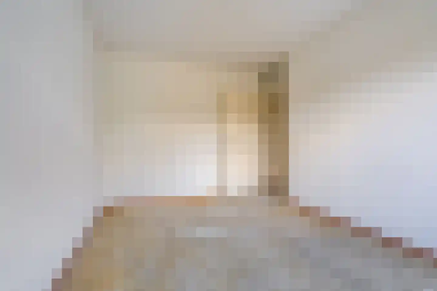 Eendenkooi 3 Delfzijl thumbnail 12