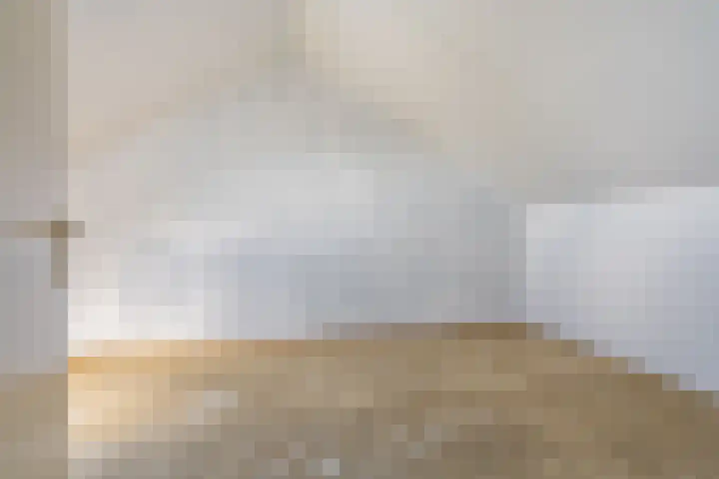 Eendenkooi 3 Delfzijl thumbnail 13