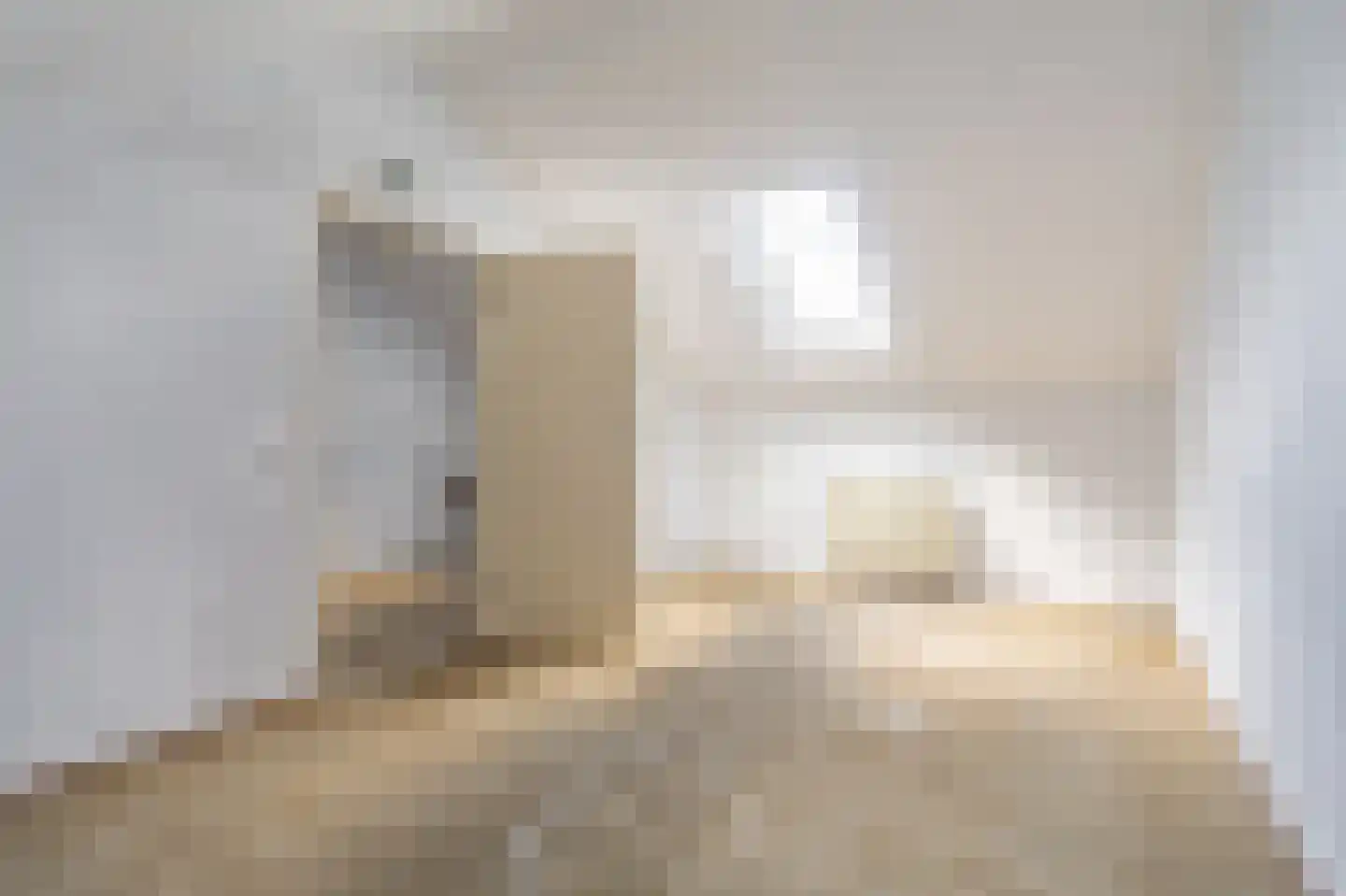 Eendenkooi 3 Delfzijl thumbnail 14
