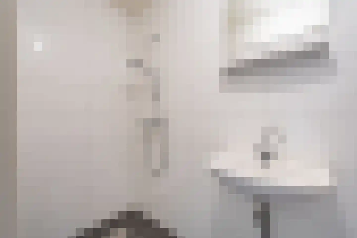 Eendenkooi 3 Delfzijl thumbnail 17