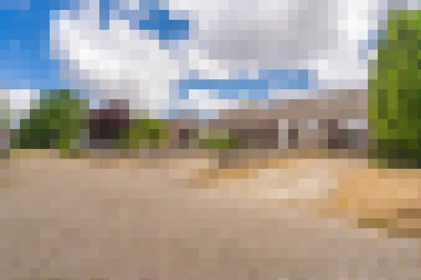 Eendenkooi 3 Delfzijl thumbnail 20
