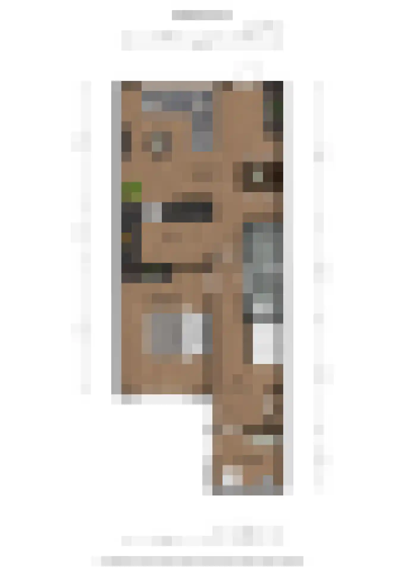Eendenkooi 3 Delfzijl thumbnail 23