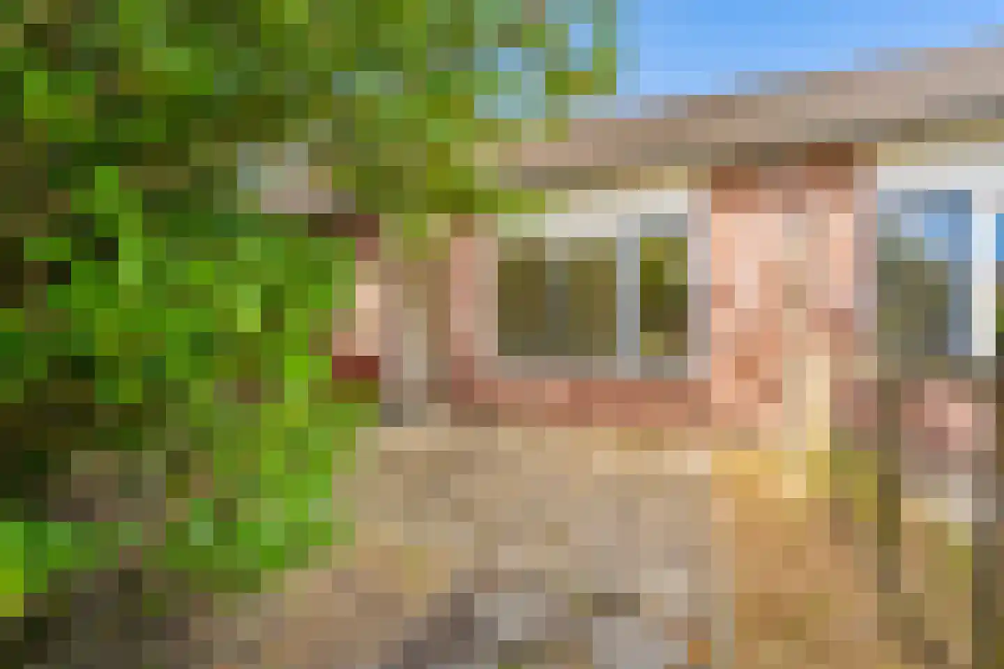 Eendenkooi 3 Delfzijl thumbnail 5