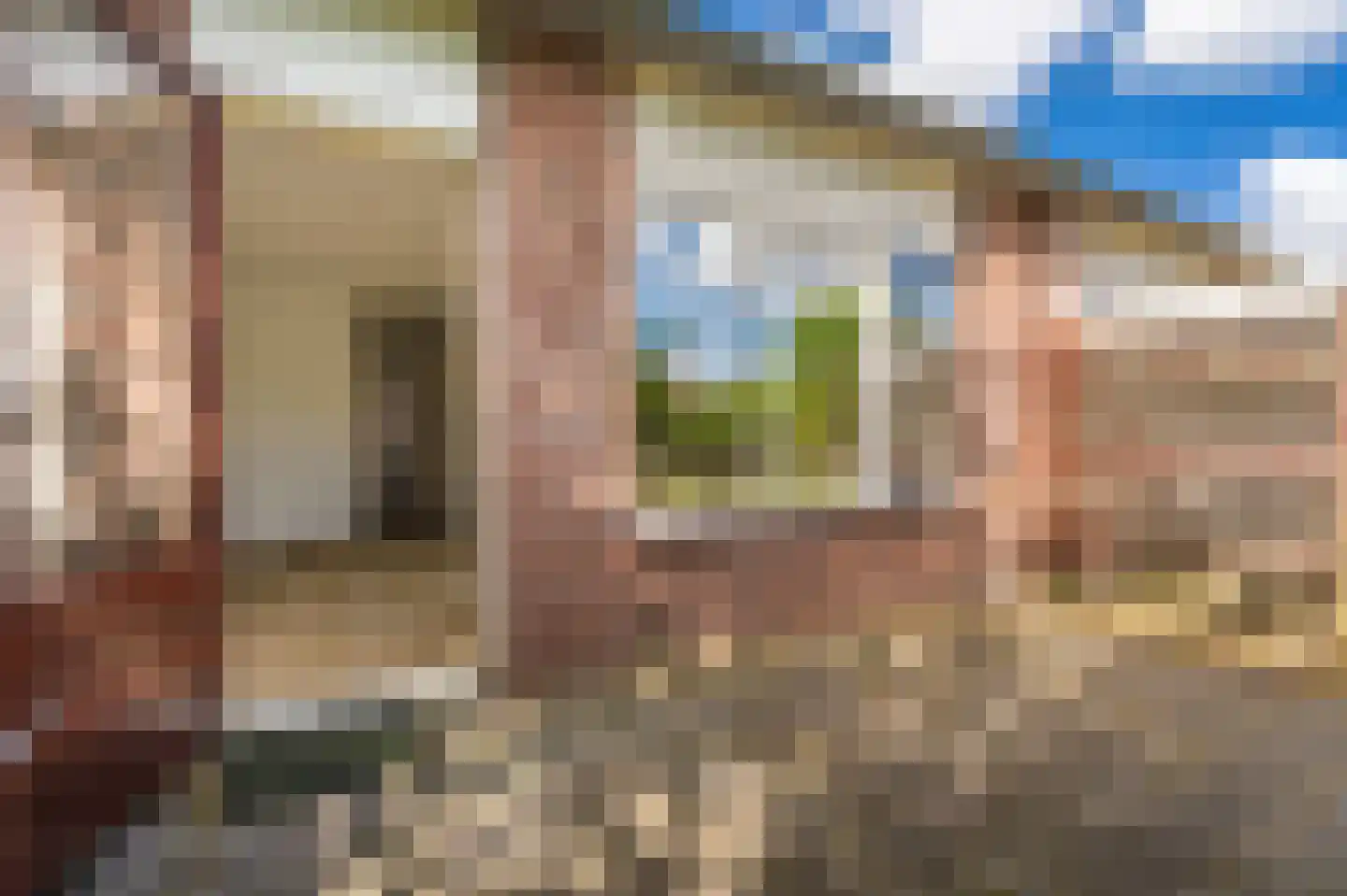 Eendenkooi 3 Delfzijl thumbnail 6