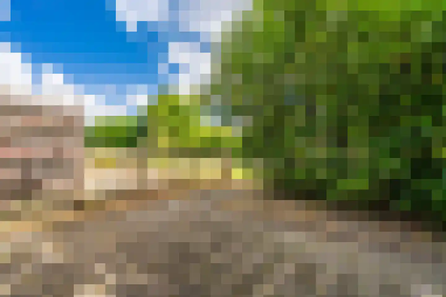 Eendenkooi 3 Delfzijl thumbnail 7