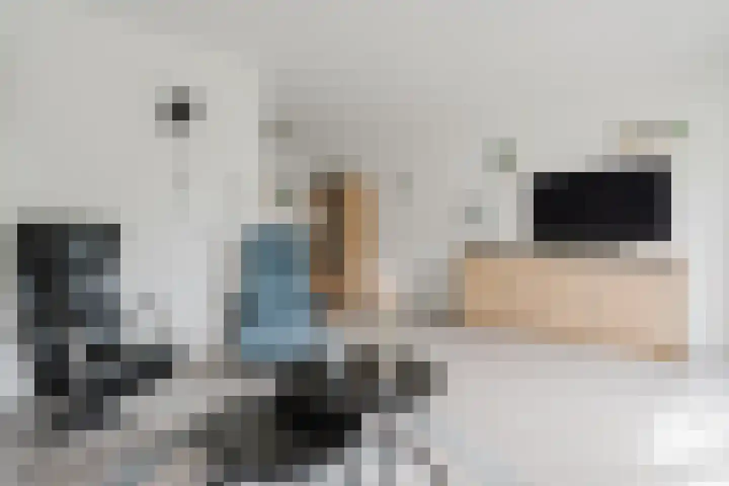 Eendenkooi 3 Heerenveen thumbnail 10