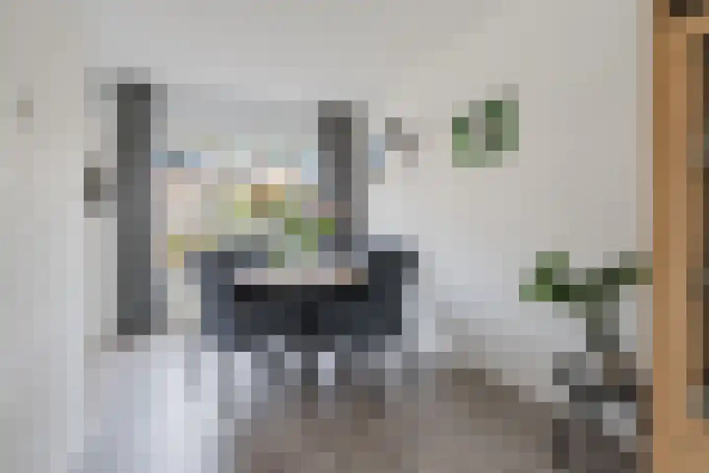 Eendenkooi 3 Heerenveen thumbnail 12