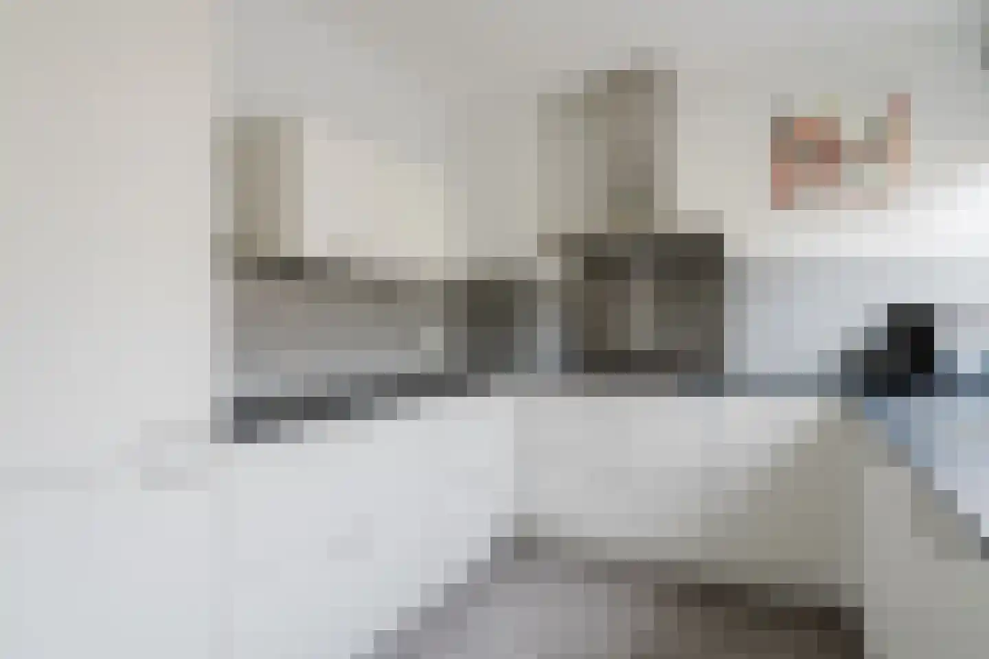 Eendenkooi 3 Heerenveen thumbnail 13