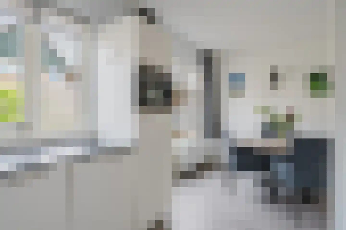Eendenkooi 3 Heerenveen thumbnail 14