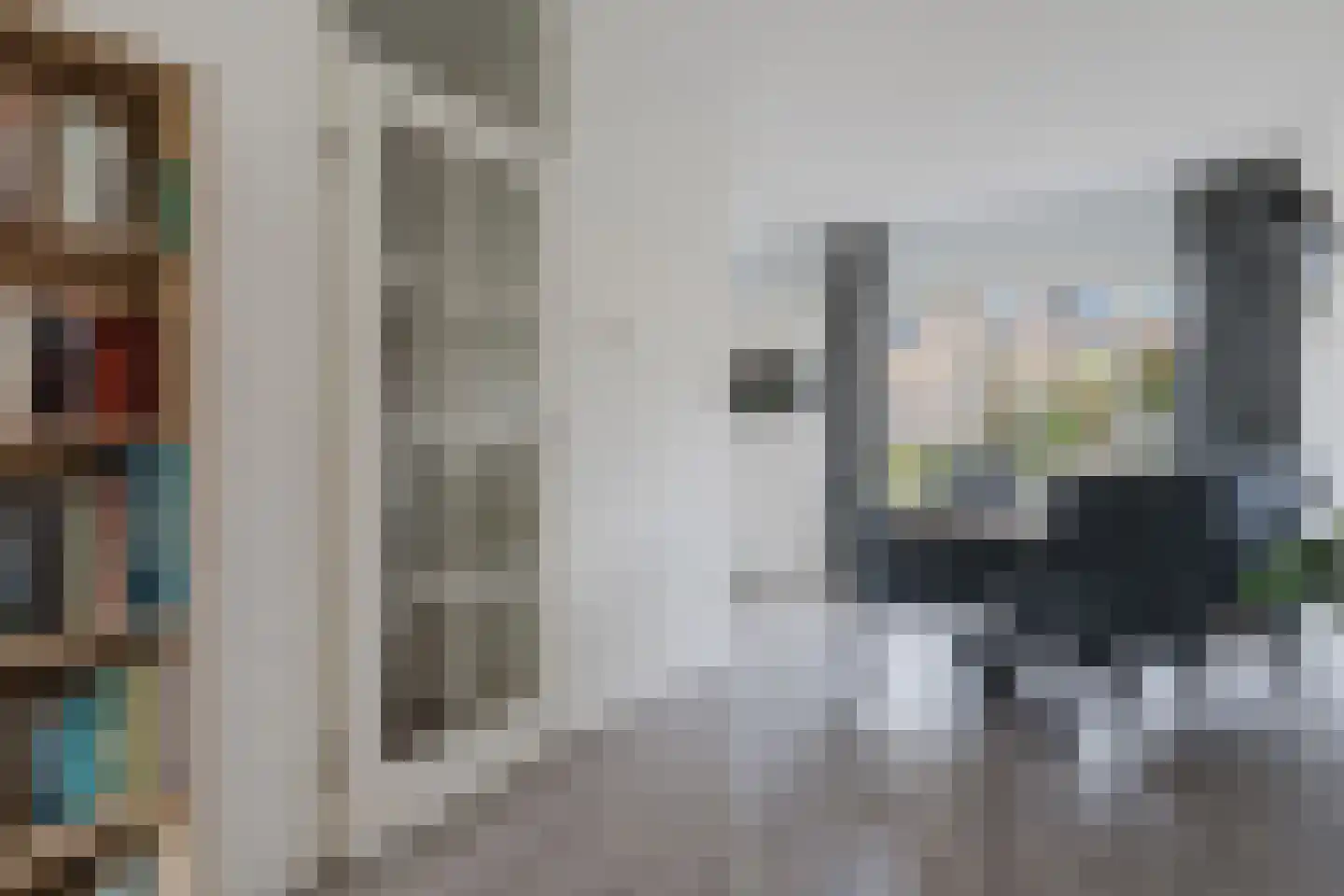 Eendenkooi 3 Heerenveen thumbnail 14