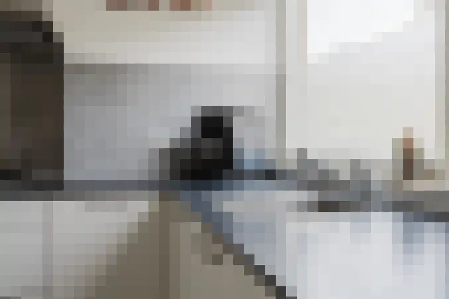 Eendenkooi 3 Heerenveen thumbnail 15