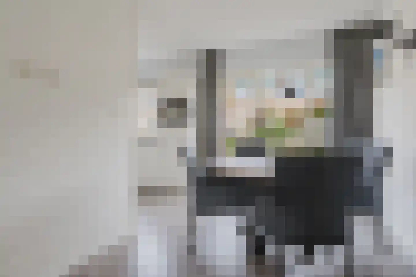Eendenkooi 3 Heerenveen thumbnail 16