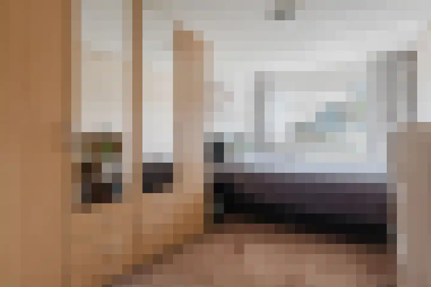 Eendenkooi 3 Heerenveen thumbnail 17