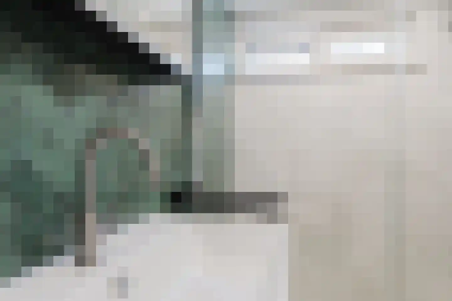 Eendenkooi 3 Heerenveen thumbnail 18
