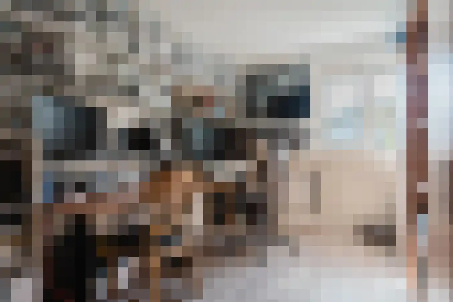 Eendenkooi 3 Heerenveen thumbnail 21