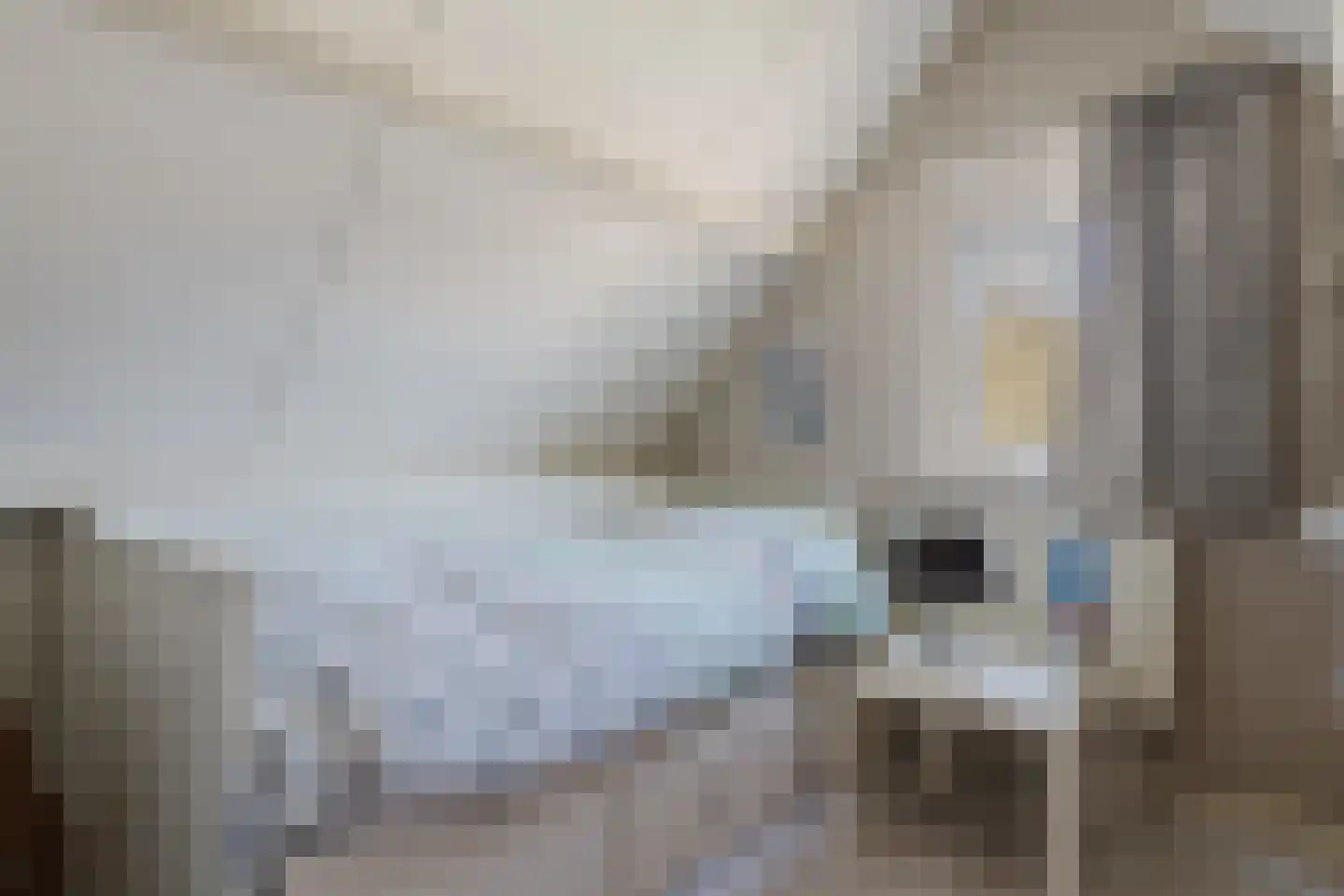 Eendenkooi 3 Heerenveen thumbnail 23